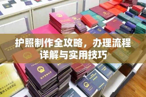 韶山护照制作全攻略，办理流程详解与实用技巧